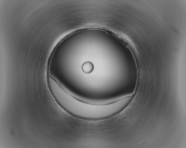 X0000113161288200909181803