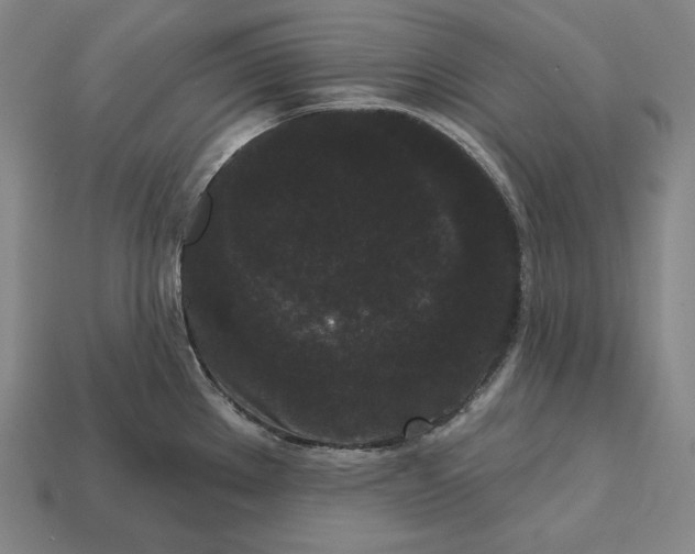 X0000113161289200909181803