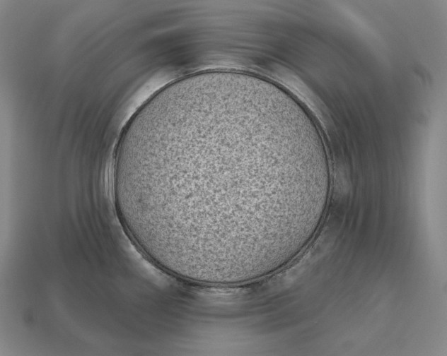 X0000113161290200909181803