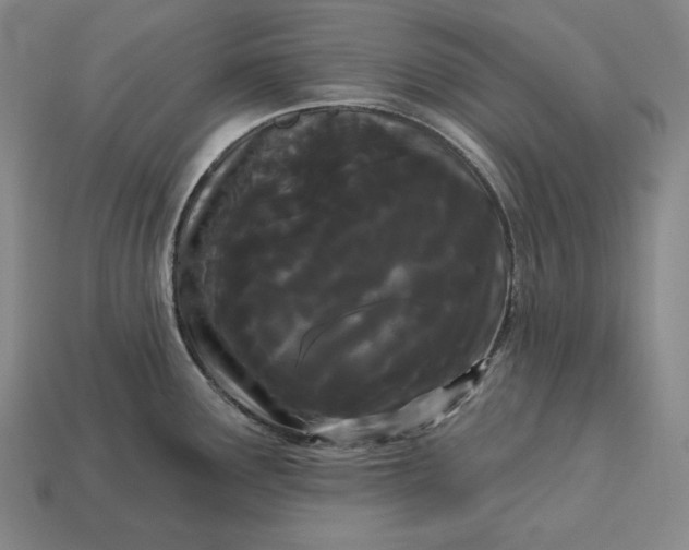 X0000113161291200909181803