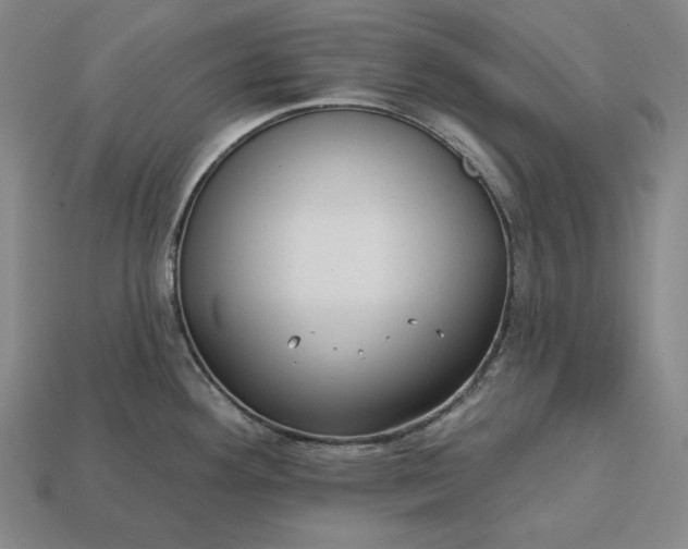 X0000113161292200909181803