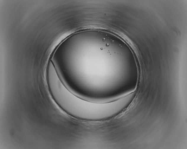 X0000113161293200909181803