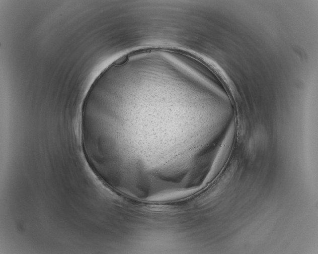 X0000113161295200909181803