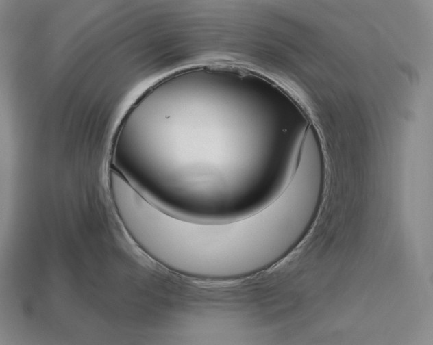 X0000113161296200909181803