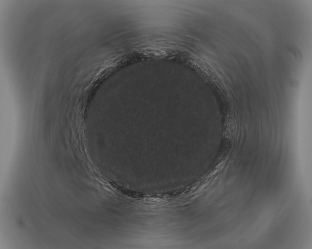 X0000113161297200909181803