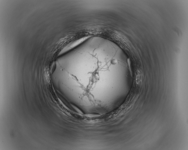 X0000113161298200909181803