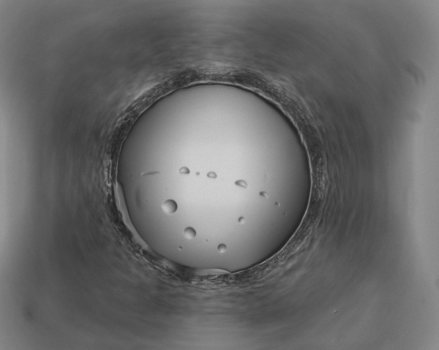 X0000113161301200909181803