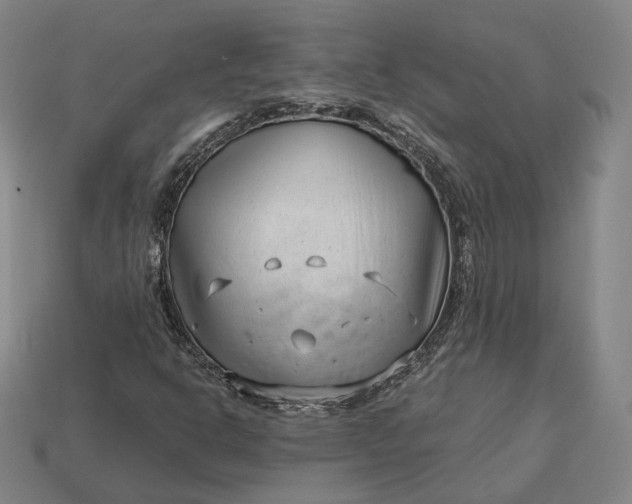 X0000113161302200909181803