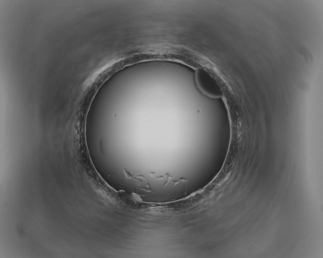 X0000113161304200909181803