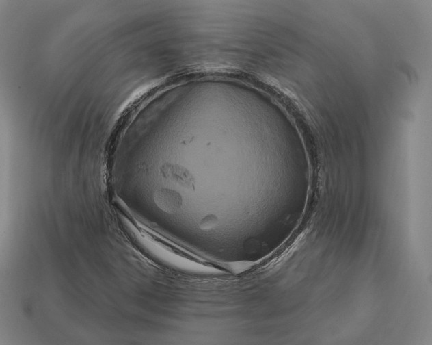 X0000113161306200909181803