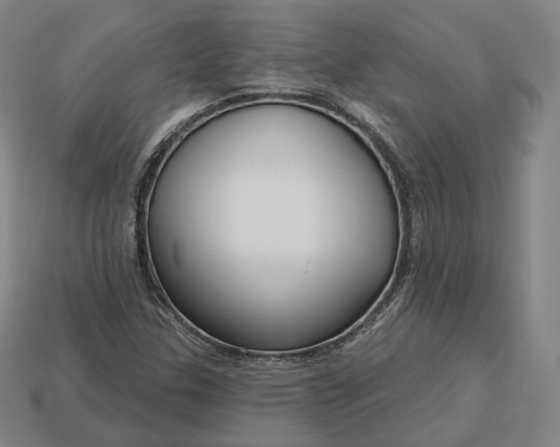 X0000113161307200909181803