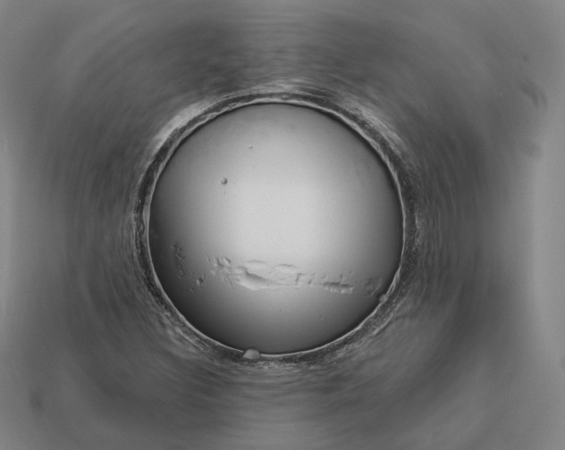 X0000113161308200909181803