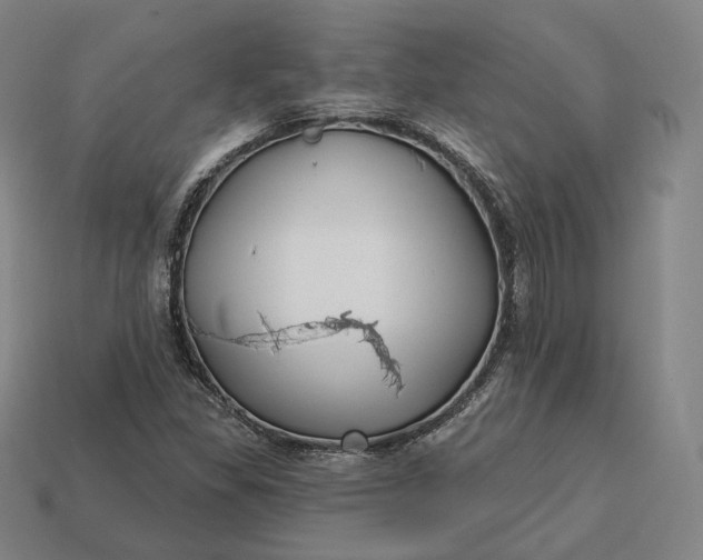 X0000113161309200909181803