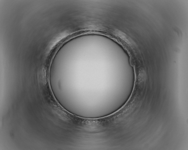 X0000113161310200909181803