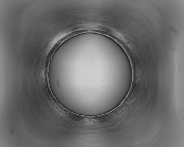 X0000113161312200909181803