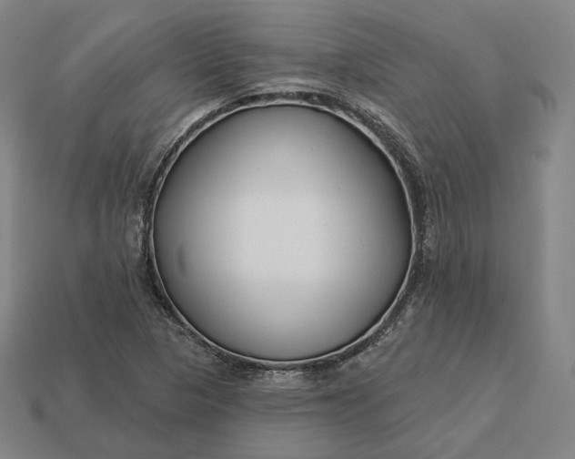 X0000113161313200909181803