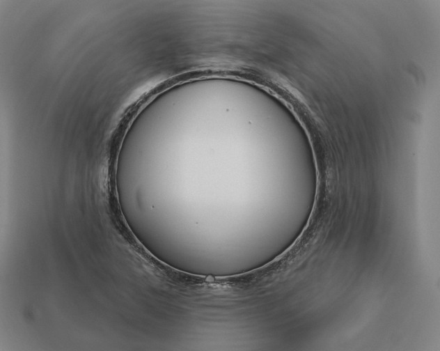 X0000113161315200909181803