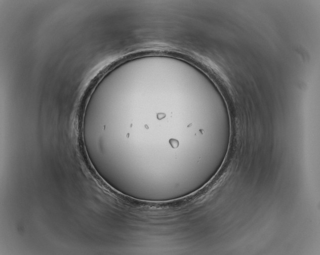 X0000113161318200909181803