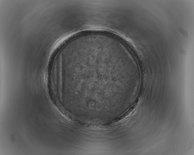 X0000113161319200909181803