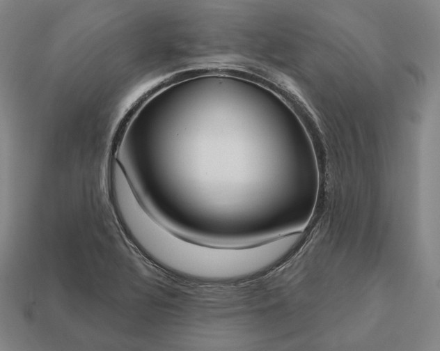 X0000113161320200909181803