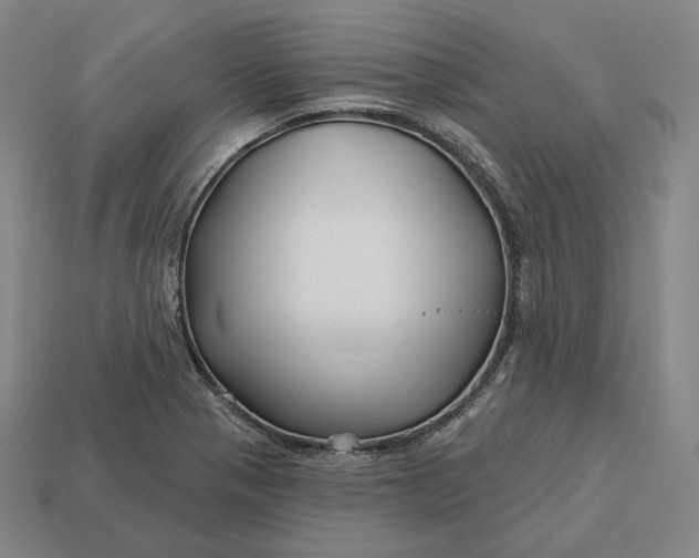 X0000113161321200909181803