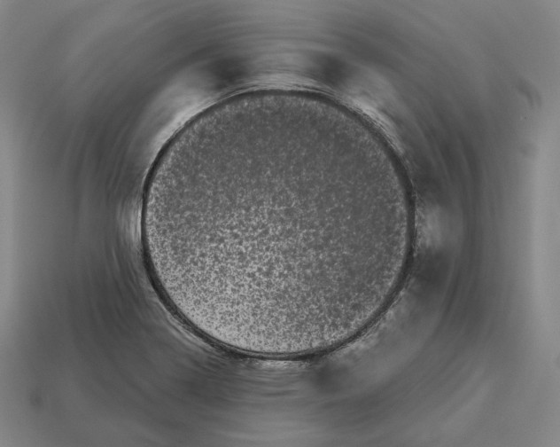 X0000113161322200909181803