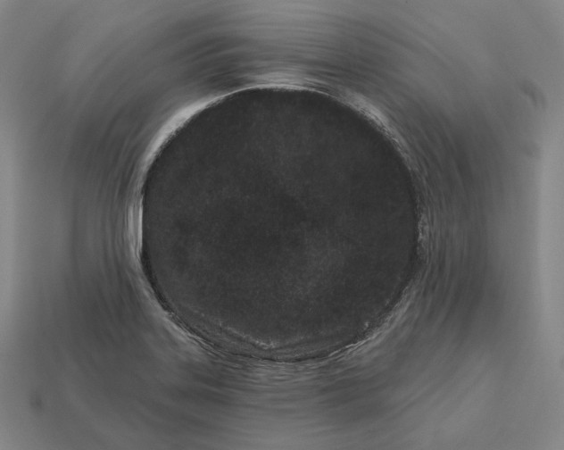 X0000113161323200909181803