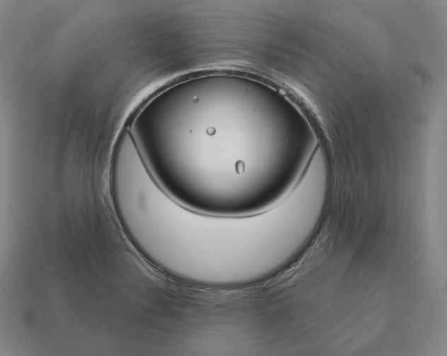 X0000113161324200909181803