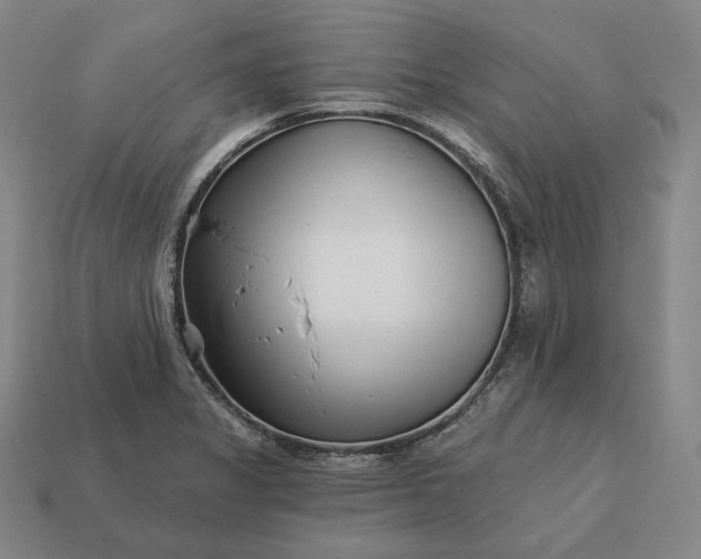 X0000113161325200909181803