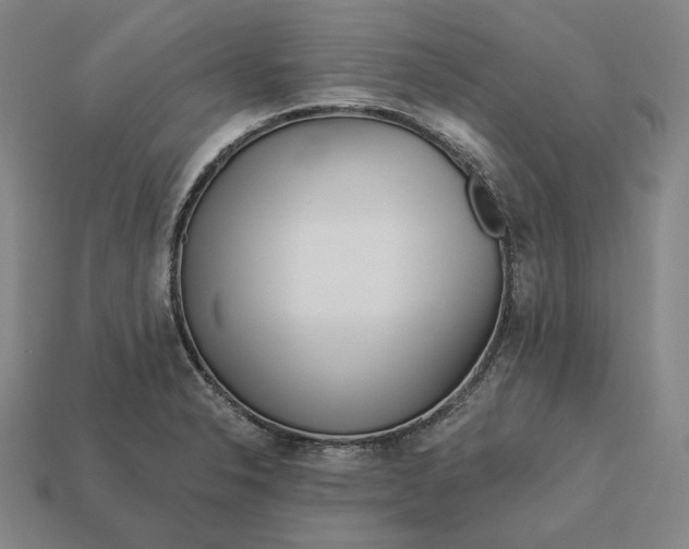 X0000113161326200909181803