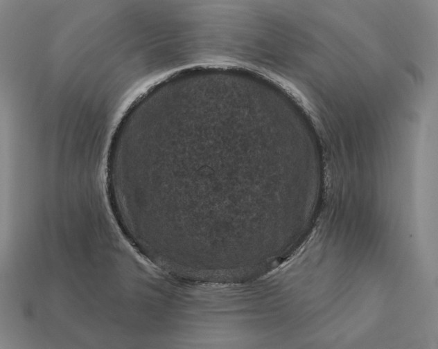 X0000113161327200909181803