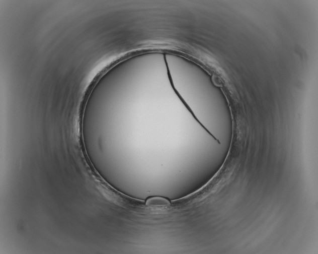 X0000113161328200909181803