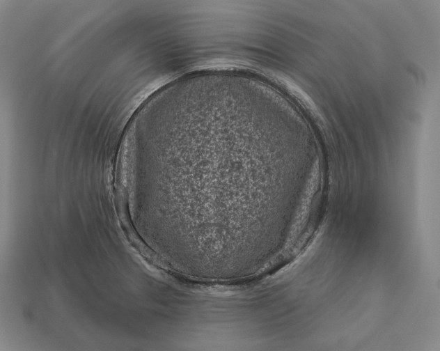 X0000113161329200909181803