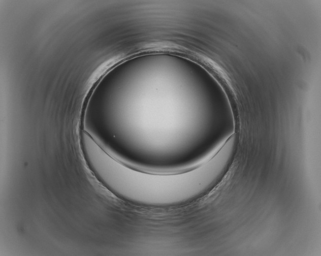 X0000113161330200909181803