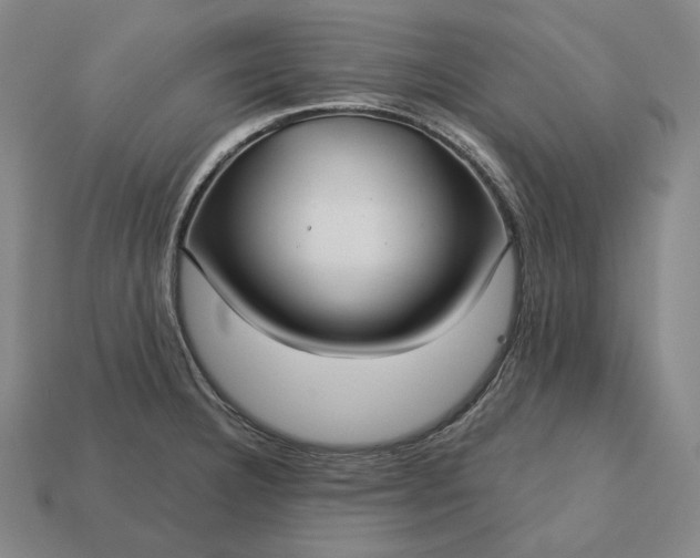 X0000113161332200909181803