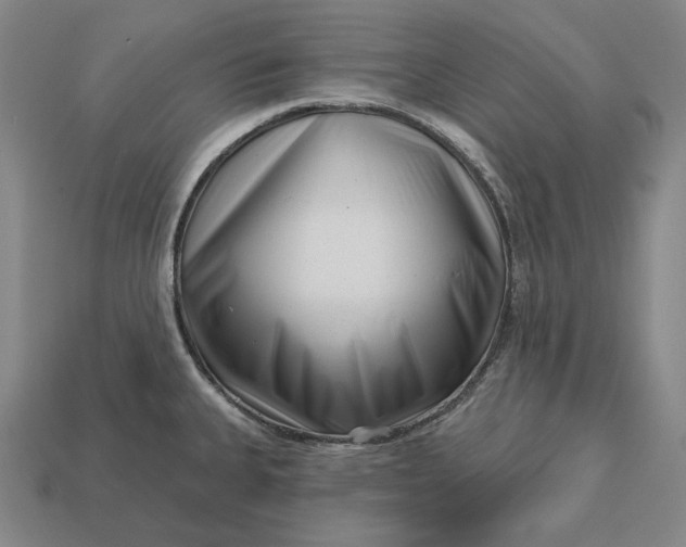 X0000113161335200909181803