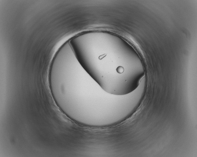 X0000113161336200909181803