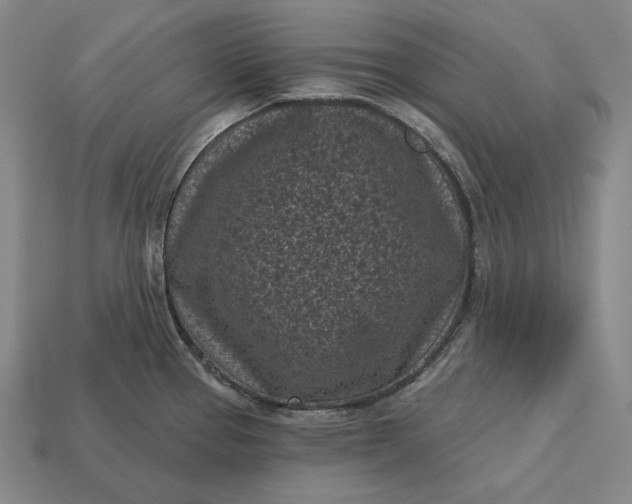 X0000113161337200909181803