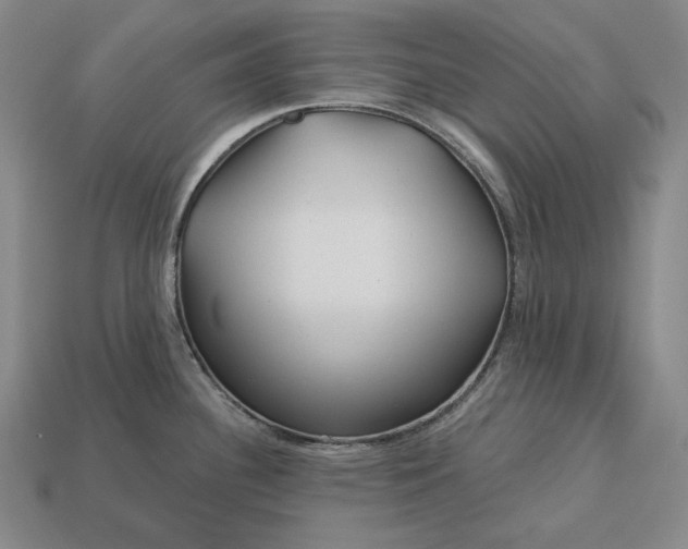 X0000113161340200909181803