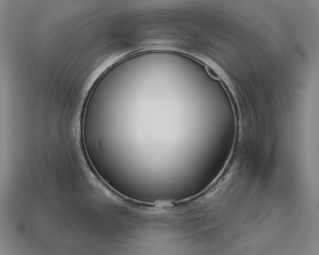 X0000113161341200909181803