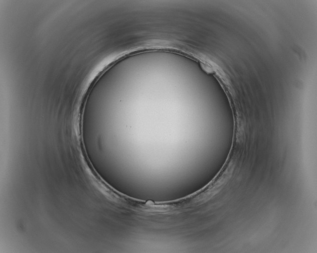 X0000113161342200909181803