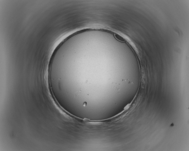 X0000113161343200909181803