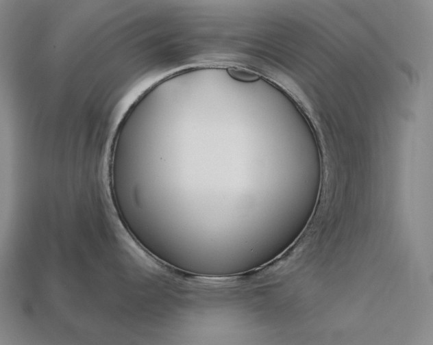 X0000113161344200909181803