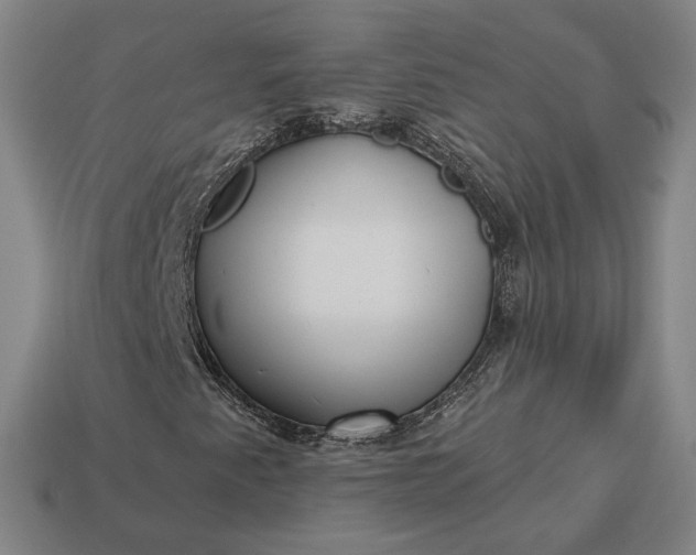 X0000113161345200909181803