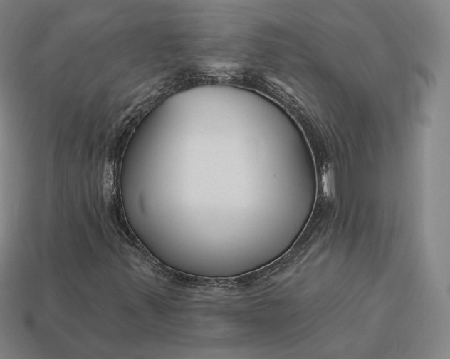 X0000113161347200909181803