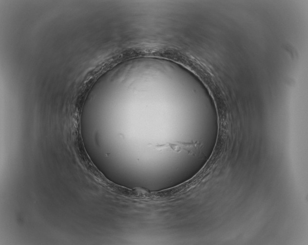 X0000113161349200909181803