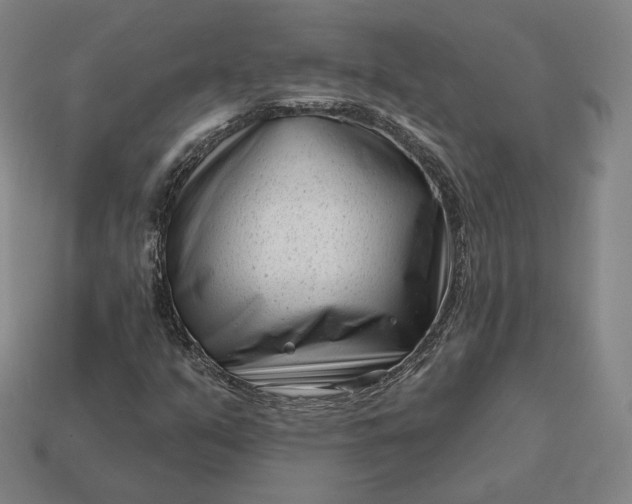 X0000113161351200909181802