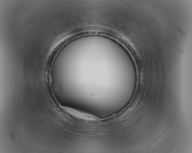 X0000113161352200909181802