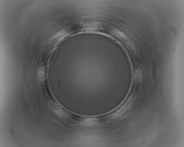 X0000113161353200909181802