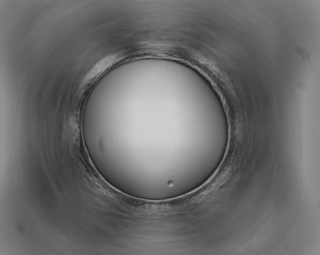 X0000113161354200909181802